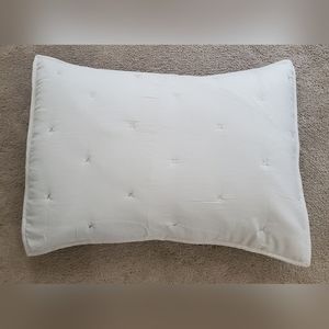 2 Queen Size Pillow Shams